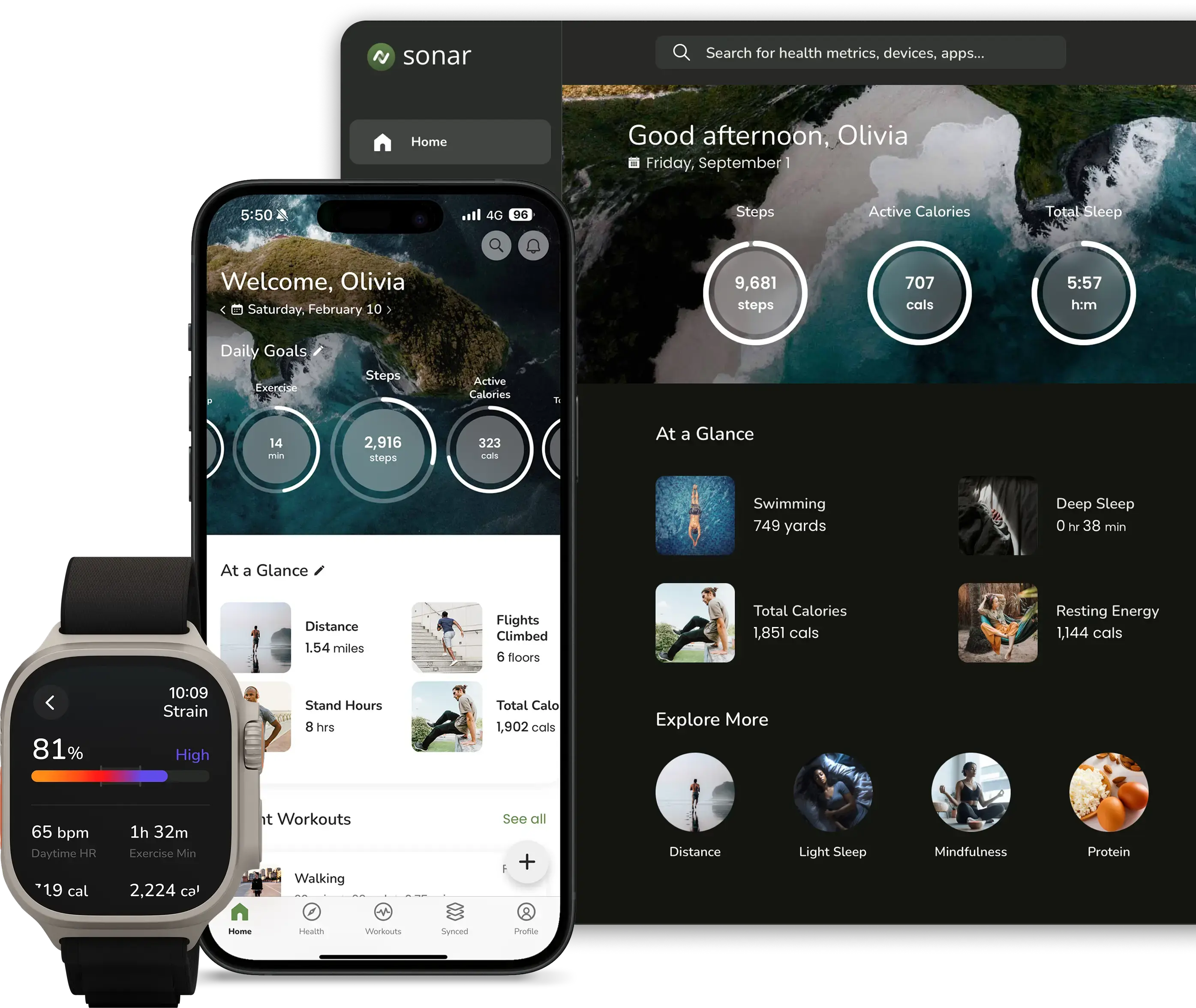 Sonar_Modern_Health_Platform_iOS_Web