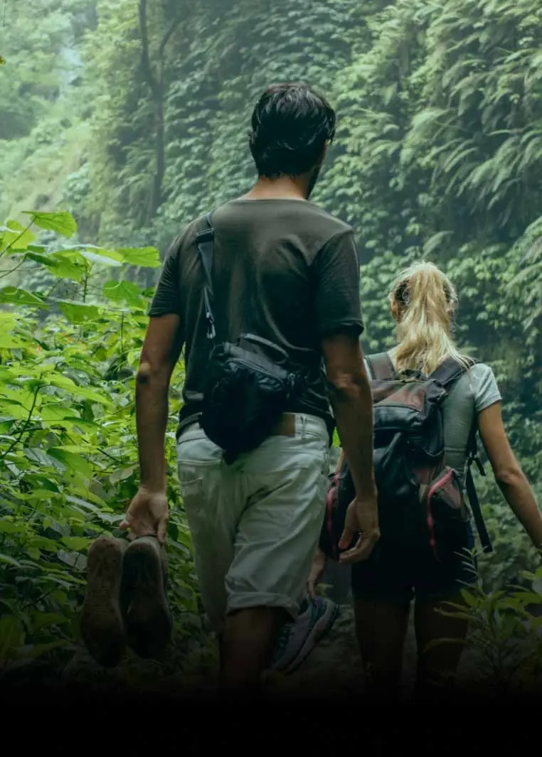 Couple walking through a jungle