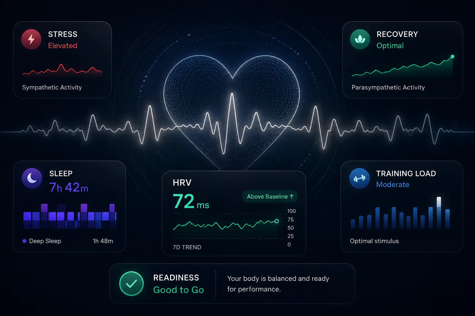What Is HRV (Heart Rate Variability)? A Complete Guide to Your Readiness Signal